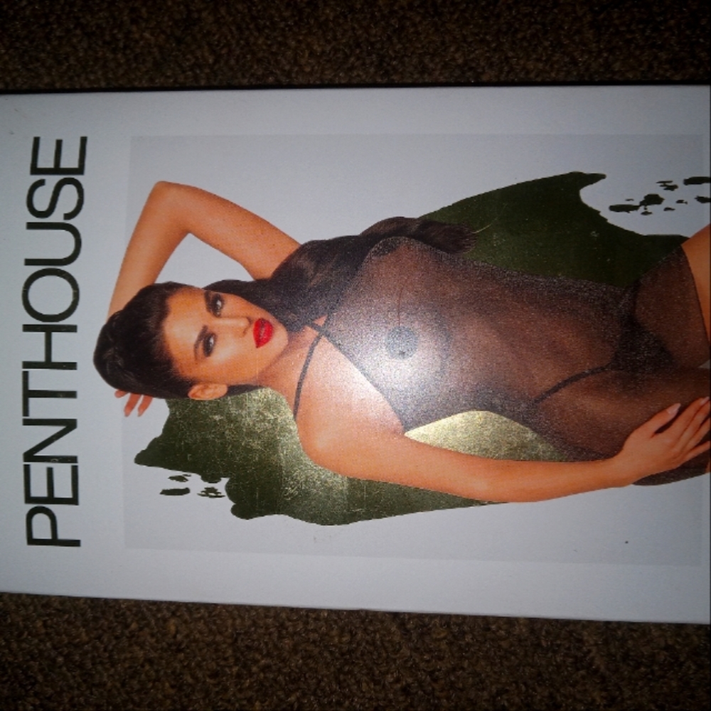 Lingerie Minidress